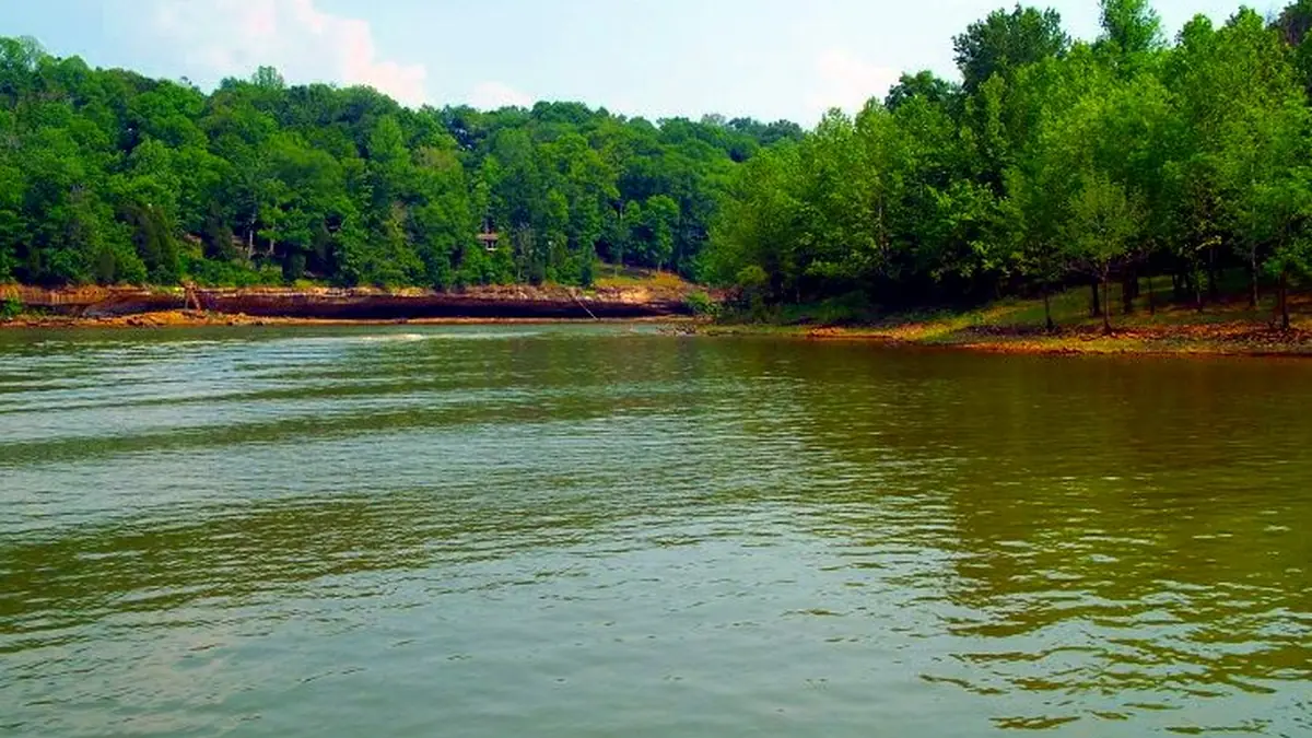 Green water and wooded shoreline on Rough River Lake, Kentucky